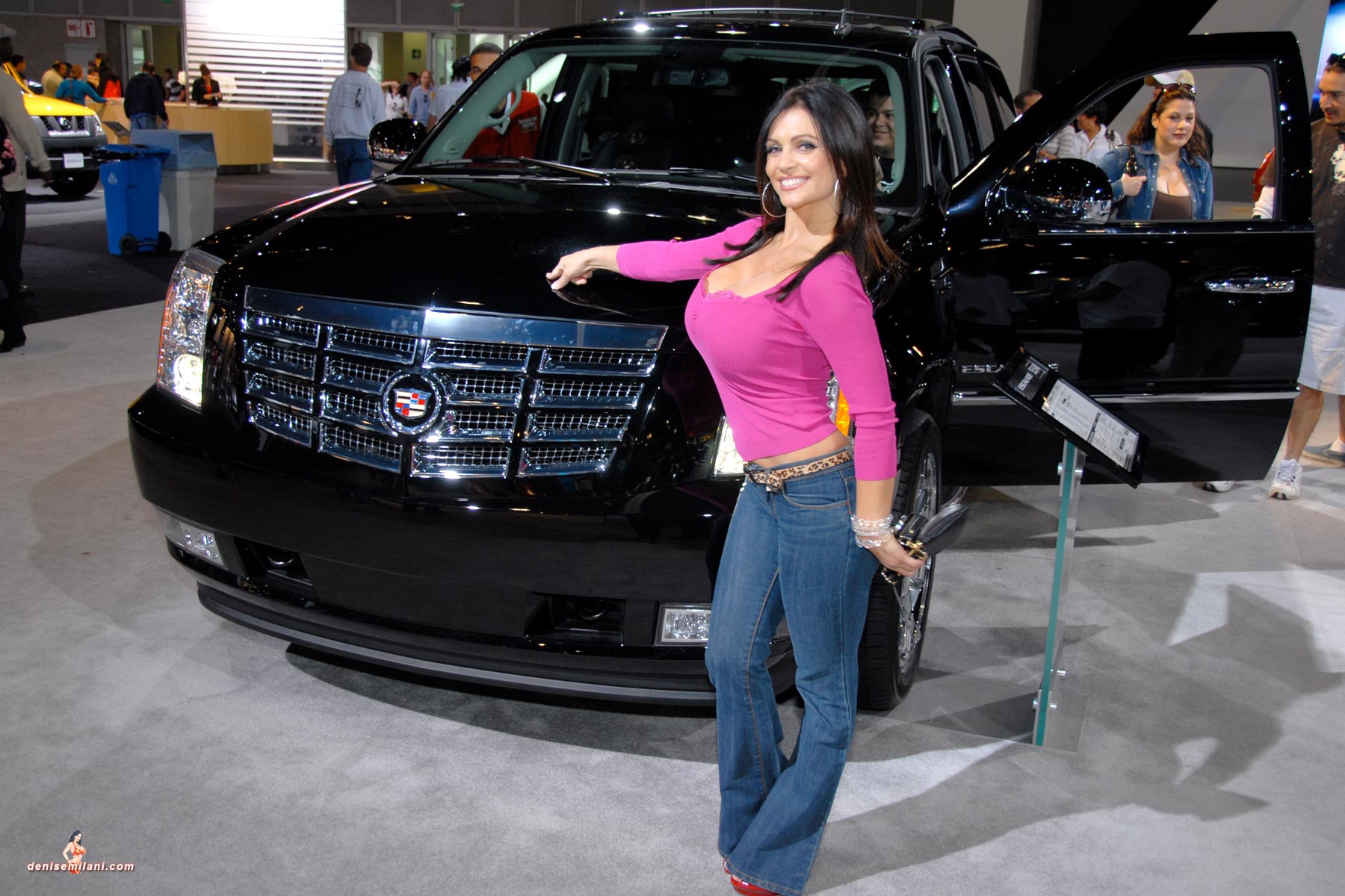 Auto Show 016