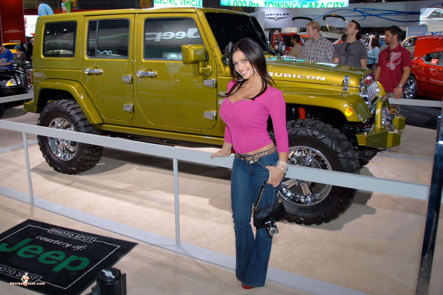 Auto Show 039