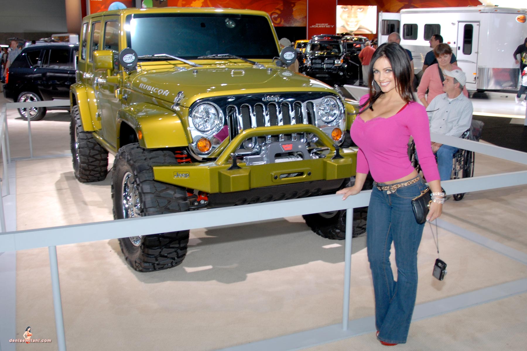 Auto Show 041