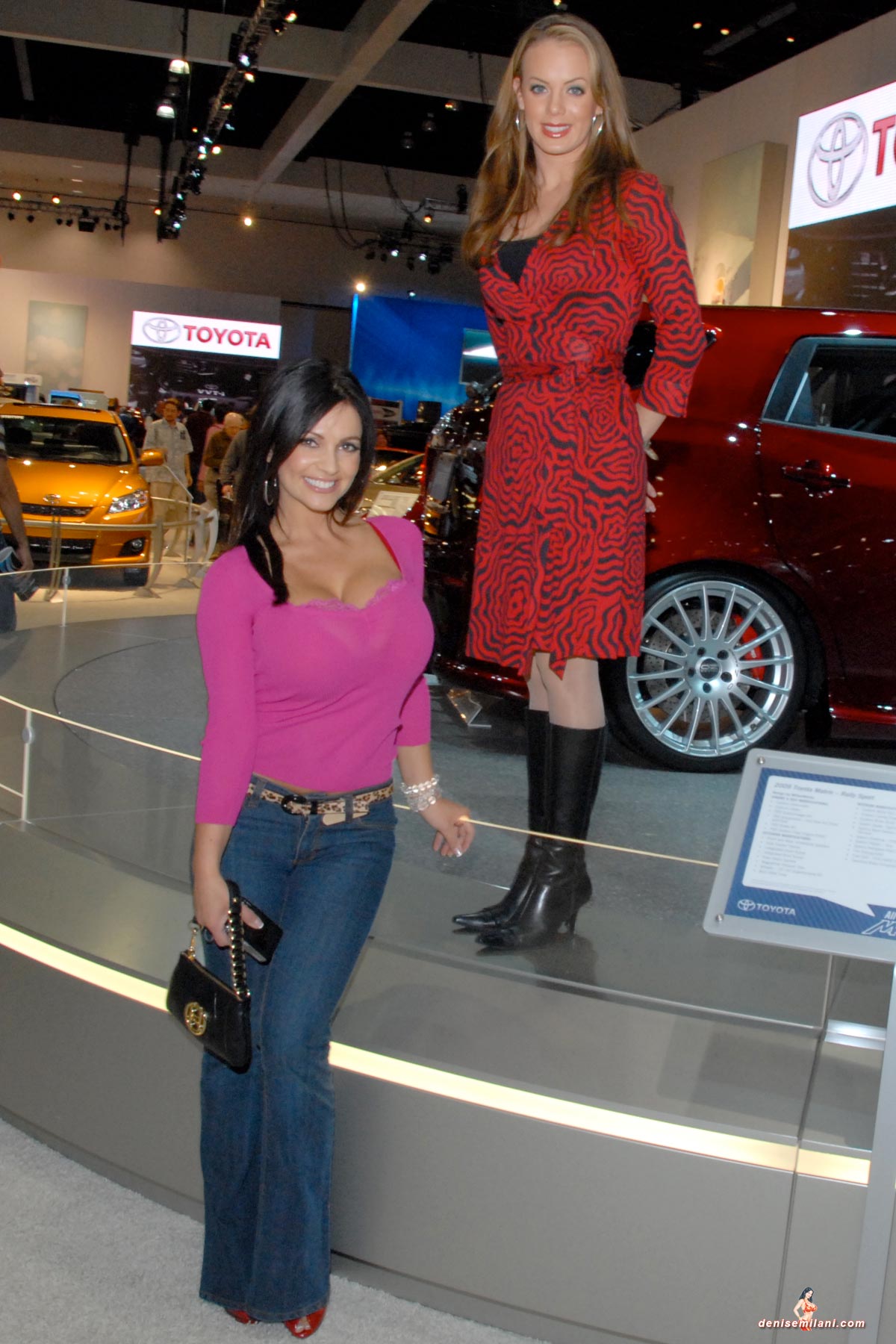 Auto Show 053