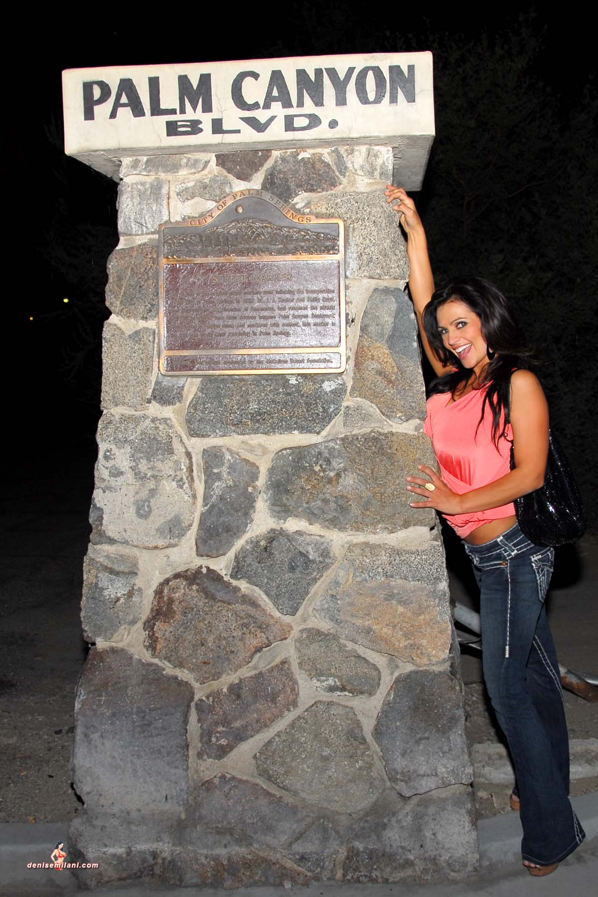 Palm Springs, Night 010