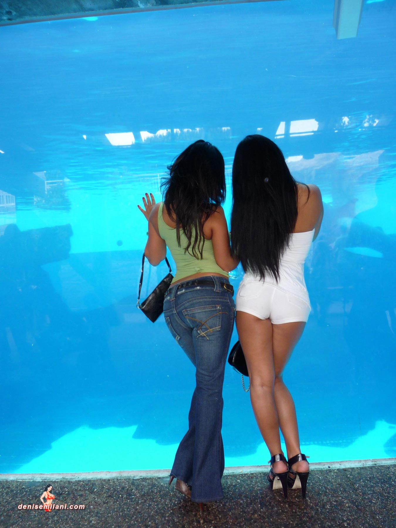 With Chelsea – Seaworld 031